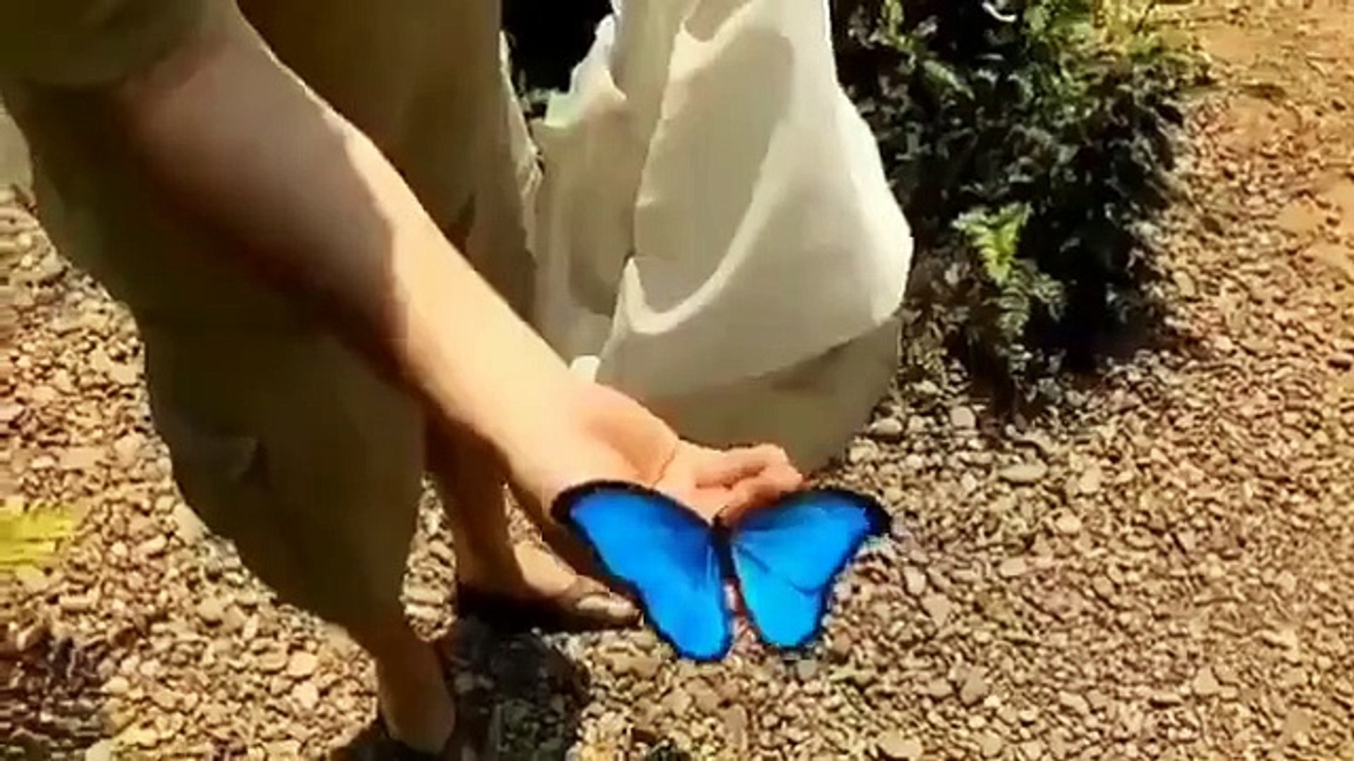 Best videos, Top videos, Viral videos Funny videos no. 33