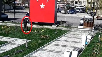 Son dakika haberi: Her şey kamera kayıtları incelendiğinde ortaya çıktı.. Meydandaki süsleri böyle çaldı