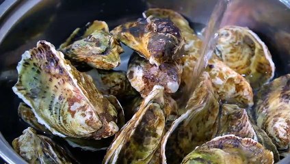 Oysters,Hào Hấp Sả Ngon Quá | Long Ji