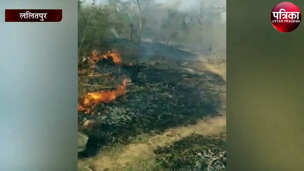 सैकड़ों बीघा खड़ी फसल जलकर राख, मचा हड़कंप