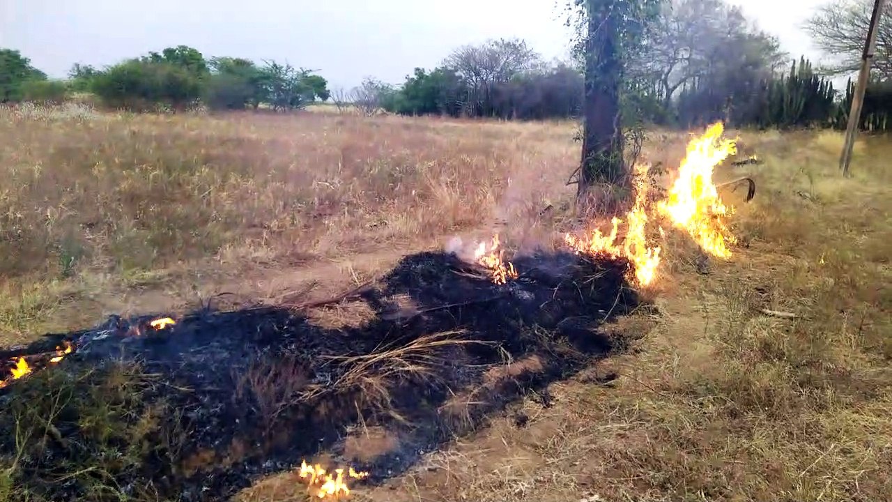 Cleaning field with fire
