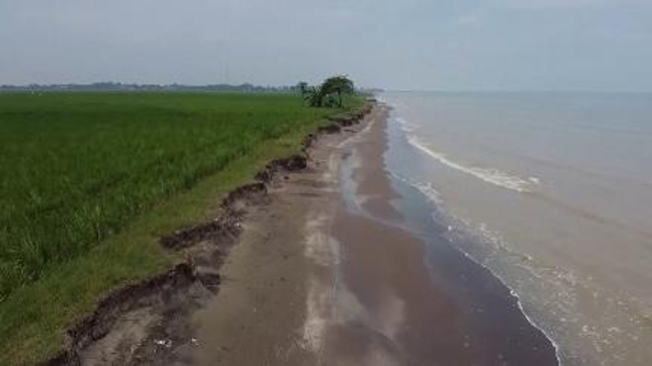 Jangan Cuek Sama Abrasi Pesisir