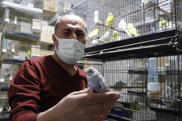 İKİ ÇİFT İLE BAŞLADI, 50 MUHABBET KUŞU OLDU