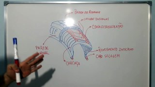 Funcionamento e detalhes dos pneus automotivos