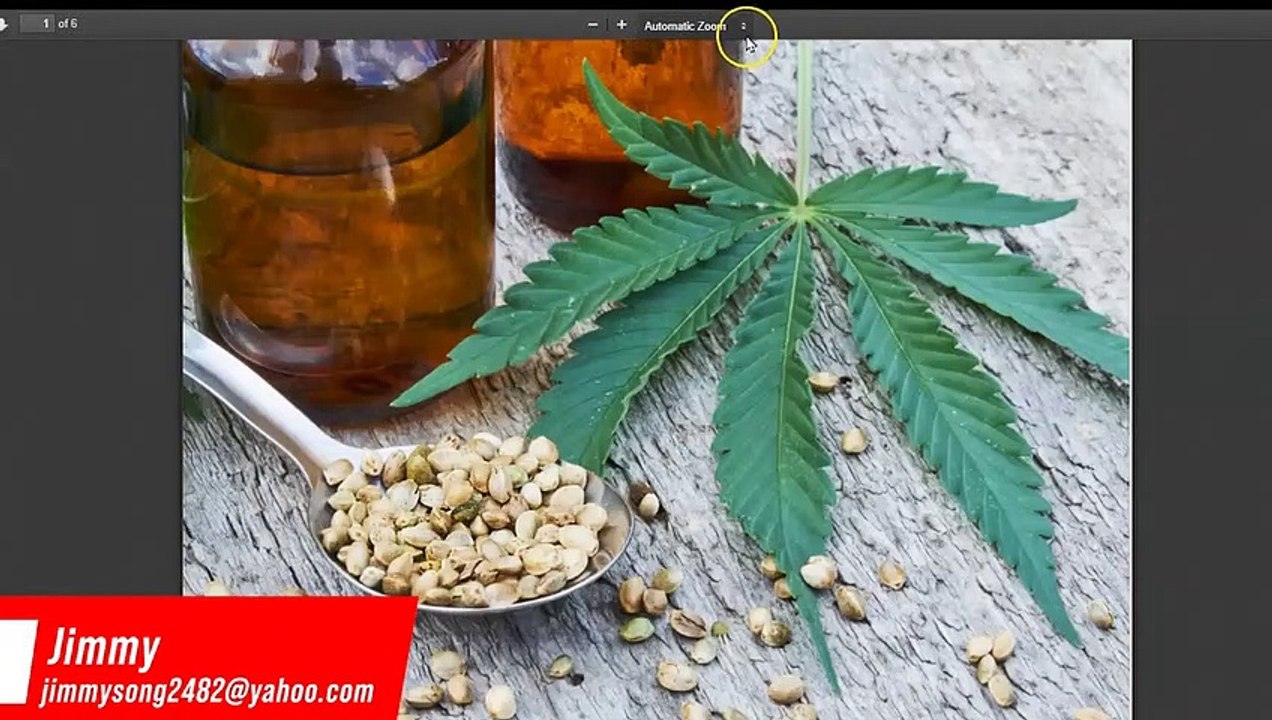 Palm Beach Ventures Progam + many other Reports that are available
