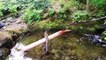 Shishi-Odoshi Japanese Bamboo Water Fountain Noise Maker At Butchart Gardens, Bc, Canada