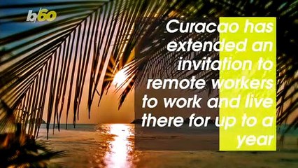 There’s Still Time Join This Caribbean Island Remote Experience