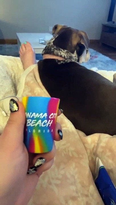 Rubber Shot Glass Bruises Forehead