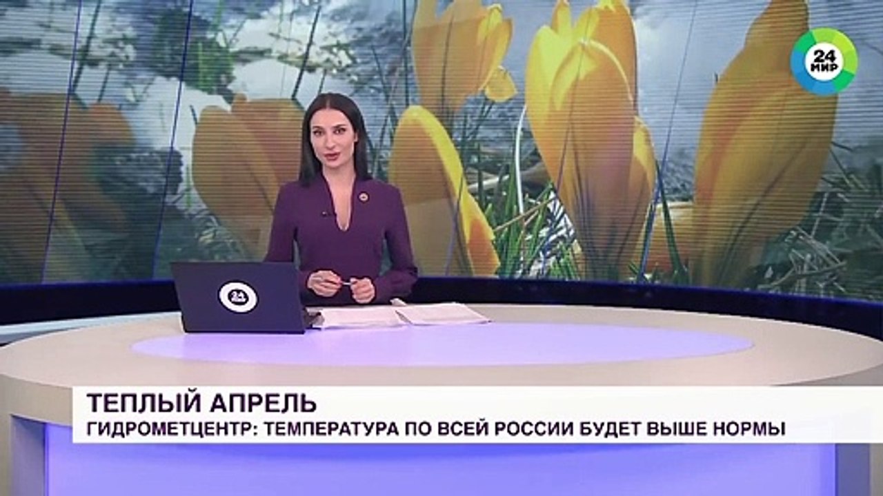 Собака украла микрофон во время прямого эфира в...