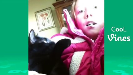 Try Not To Laugh Challenge - Funny Cat & Dog Vines compilation
