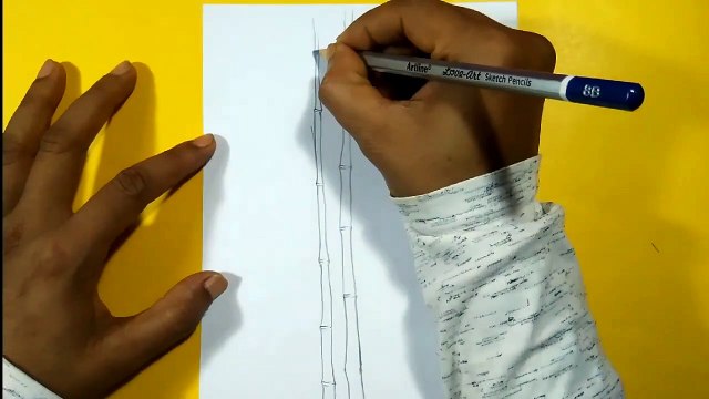 How To Draw Bamboo Tree Step By Step(Pencil Sketch)