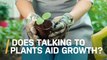 What Happens When You Talk to Plants? Do They Actually Grow Faster?