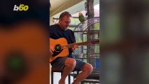 This Beatles and Coldplay Loving Parrot Sings Along to Some Great Tunes