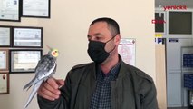 'Türkiyem' şarkısını ıslıkla söyleyen papağan hayrete düşürüyor
