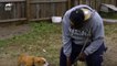 38 Dogs Saved From Horrific Conditions _ Pit Bulls & Parolees