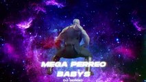 Mega Perreo Babys | DJ SERGIO