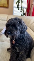 More rubbing Dad please!