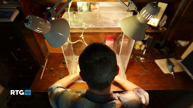 229 Ювелирный дом Анна Нова