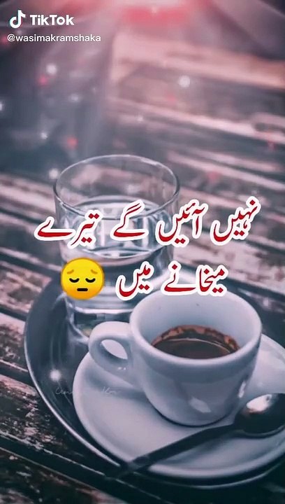 New Funny Videos 2021