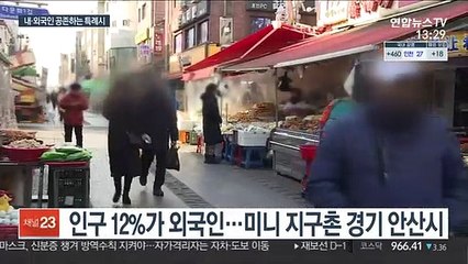 '외국인 최다 거주' 안산시, 다문화 특례시 지정 추진