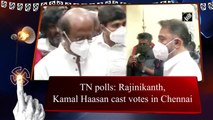 TN polls: Rajinikanth, Kamal Haasan cast votes in Chennai
