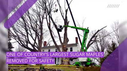 24/7 video newswire featuring breaking news, research, and entertainment.