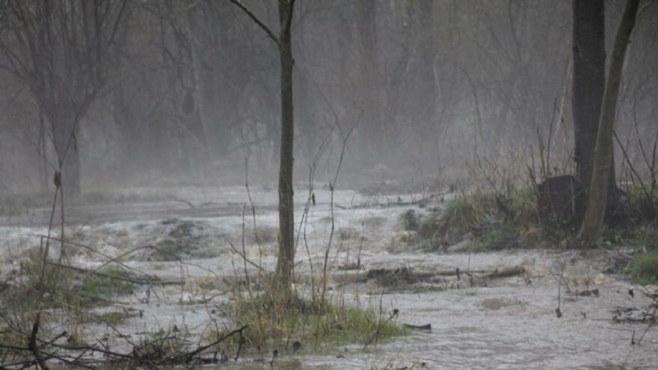 Domaniç'te dereler taştı, tarım arazileri sular altında kaldı
