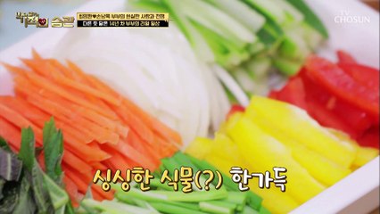 달라도 너무 다른 촤영완♥손남목 부부의 일상 TV CHOSUN 210406 방송