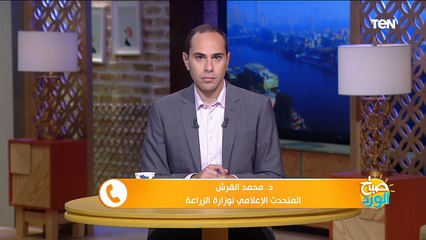 صباح الورد| مصور يبرز جمال مصر في أعماله الفنية.. و الكواليس النهائية للمسلسلات