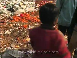 Delhi's slumdog ragpickers near Yamuna river bank