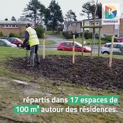 Projet Dunkerque au Naturel - Les abords des résidences Britania à Malo-les-Bains