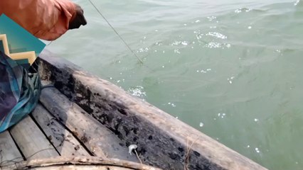 omg,, amazing fishing in our big river , Fishing tips {2}
