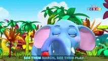 Zoo Song | Fun With Animals | Nursery Rhymes By Little Angel