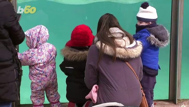 Welcome Back! Public and Guests Are Welcomed Back to the London Zoo as Lockdown Eases!