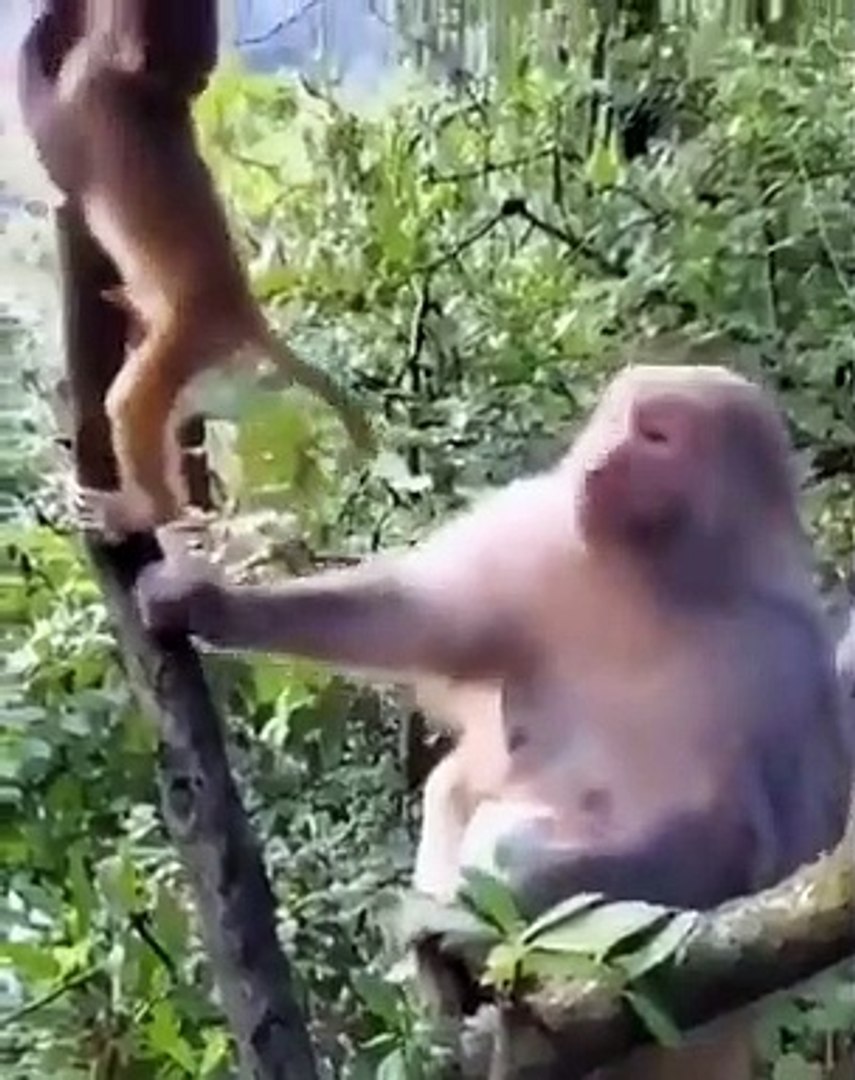 Best videos, Top videos, Viral videos Funny videos no. 90