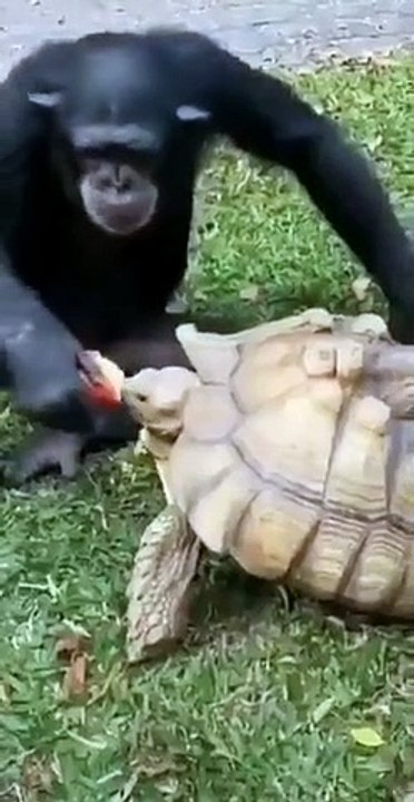 Best videos, Top videos, Viral videos Funny videos no. 91