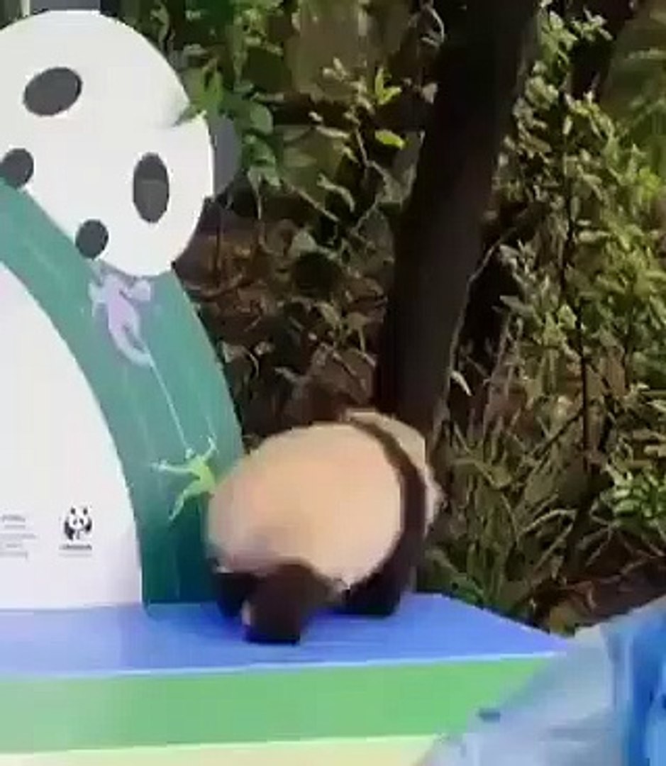 Best videos, Top videos, Viral videos Funny videos no. 92