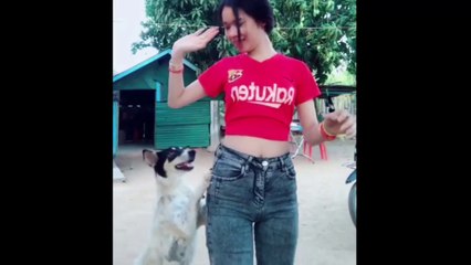 Troll Prank Dog Funny & fake Lion and Fake Tiger Prank To dog ,Huge Box Prank.Troll Video