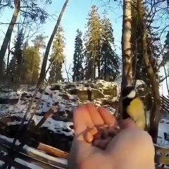 Best videos, Top videos, Viral videos Funny videos no. 43