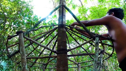 Build the most amazing Duck House with AUTOMATIC Duck Feeder for Baby Wild Ducks