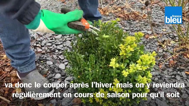Roland Motte, jardinier : la taille de printemps