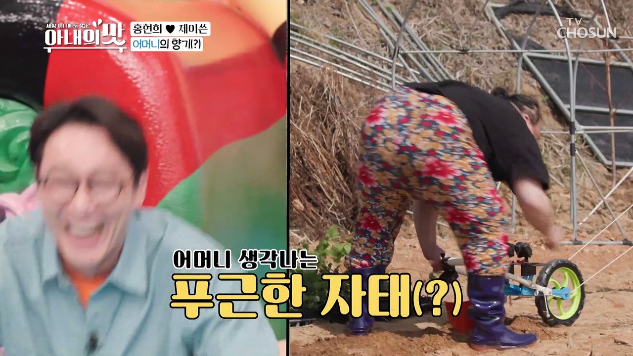 탐나는 인재✧ 진격의 황소 체력 영구ㅋㅋ TV CHOSUN 210406 방송
