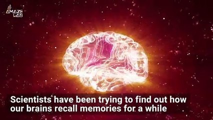 Watching Memories in Real Time is a Thing and It’s Amazing