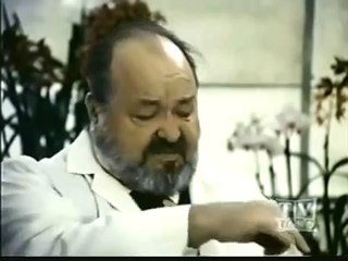 Nero Wolfe   Episode 12   The Murder In Question