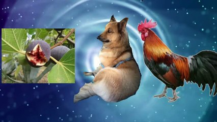 DIOS VIVE EN LA M-42