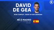 La fiche technique de David de Gea