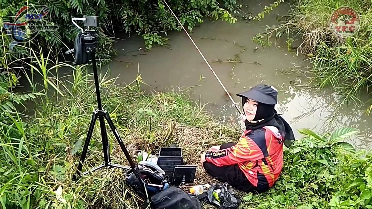 Mancing di Sarang Ikan Betok Pepuyu Pake Umpan Jangkrik Dapat Banyak Bro Ep #33 Part 1