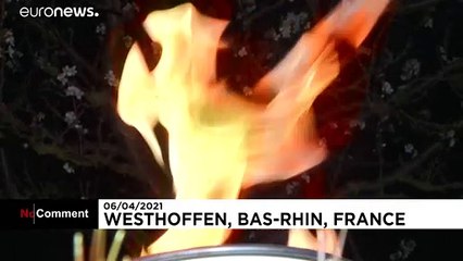En Alsace, des "bougies" pour préserver les vergers du gel