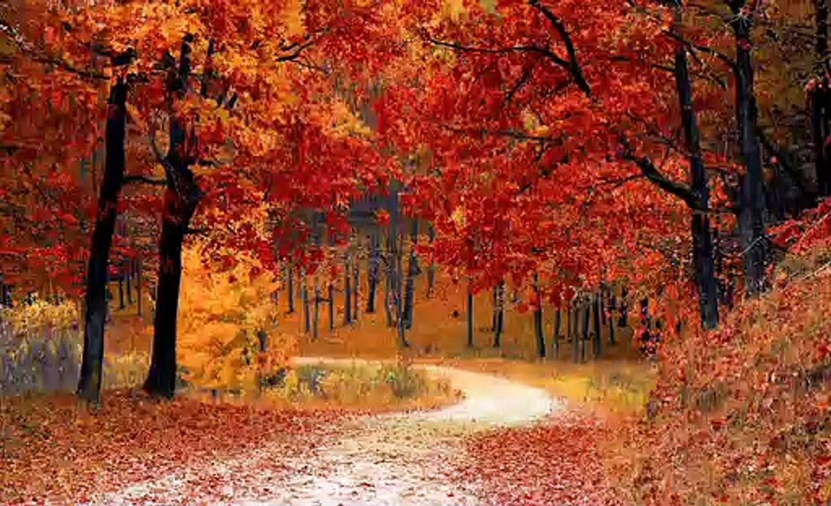 Beautiful relaxing music must watch