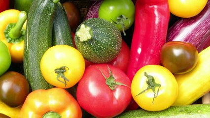 Ravioles de chèvre au pesto